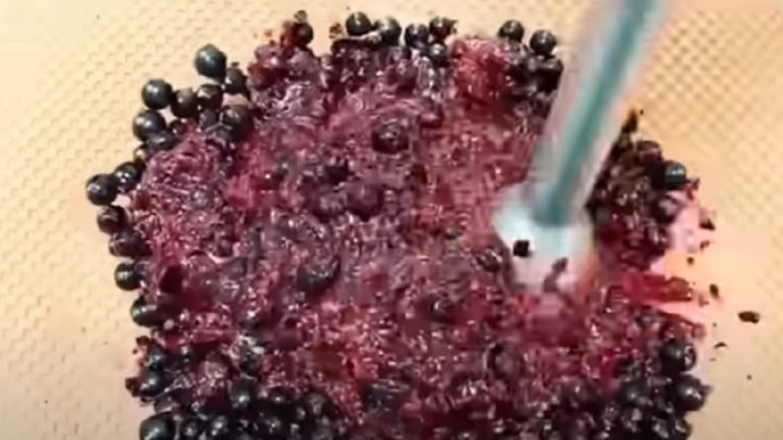 Domácí rybízová marmeláda bez vaření