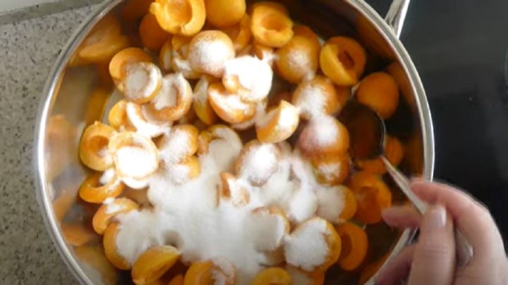 Rychlá meruňková marmeláda s kusy ovoce