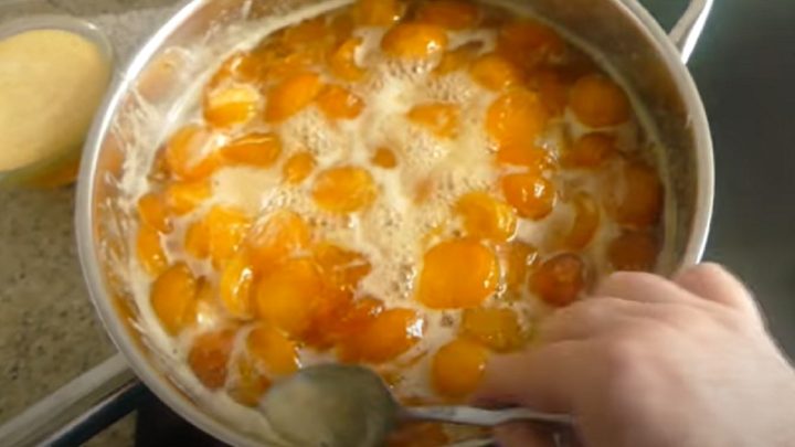 Rychlá meruňková marmeláda s kusy ovoce