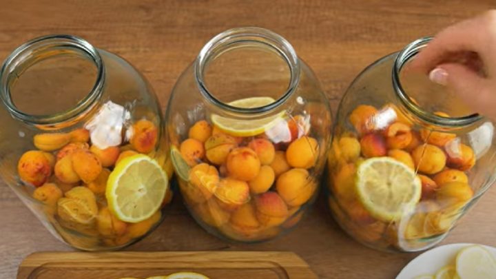 Domácí meruňková Fanta na zimu