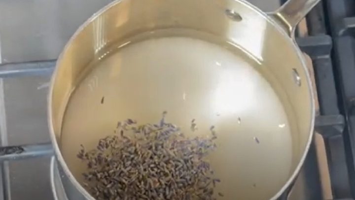 Levandulový sirup jen ze 4 ingrediencí