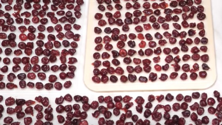 Sušené višně jen ze 2 ingrediencí