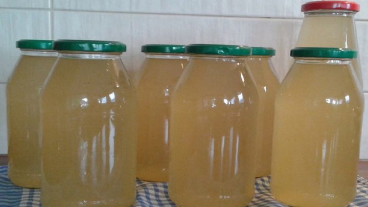 Meduňkový sirup jen z 5 ingrediencí Meduňkový sirup jen z 5 ingrediencí