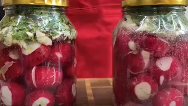 Nakládané ředkvičky s česnekem