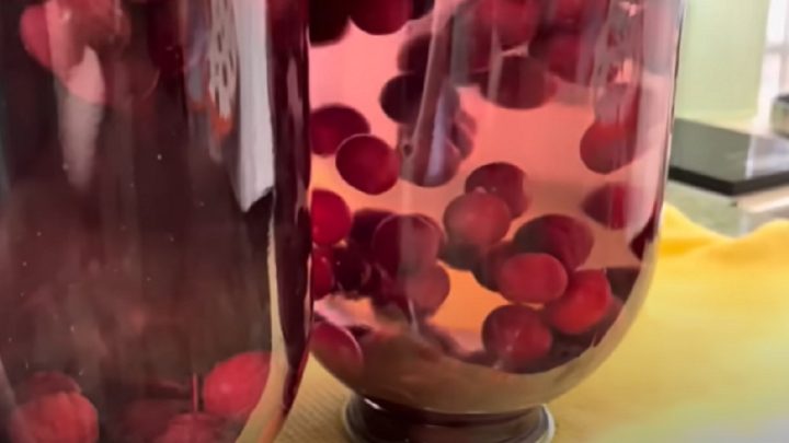 Třešňový kompot jen ze 3 ingrediencí