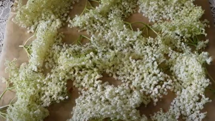 Bezová marmeláda s jahodami