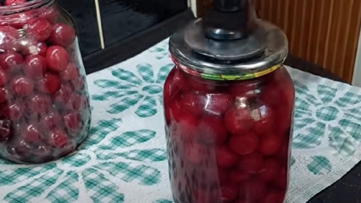 Zavařené třešně bez použití cukru