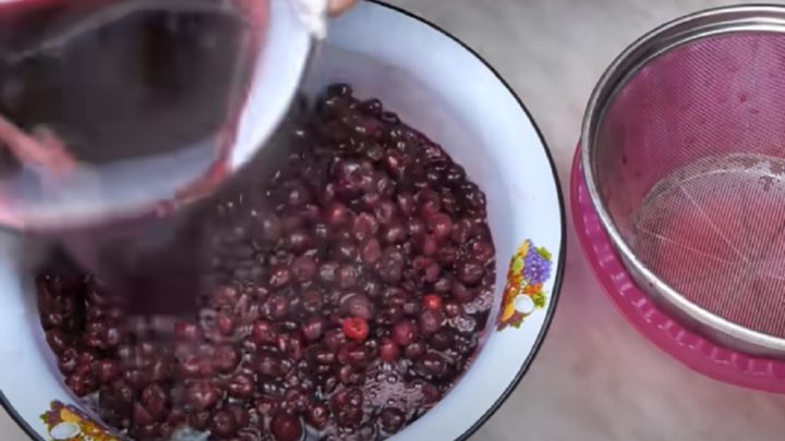 Sušené višně jen ze 2 ingrediencí