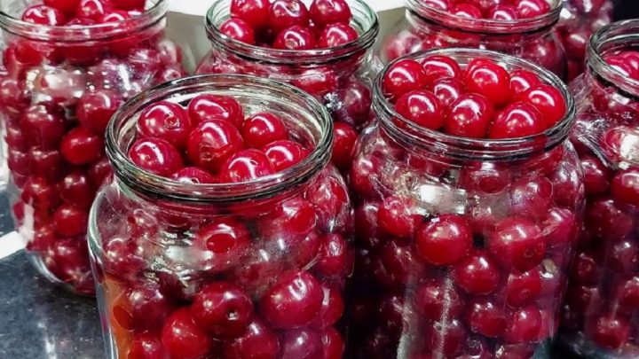 Zavařené třešně bez použití cukru