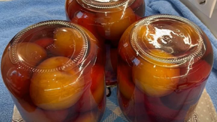 Broskve ve sladkém nálevu jen ze 3 surovin