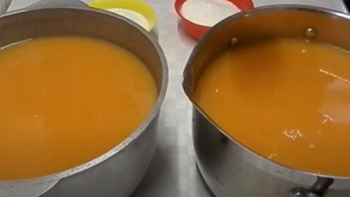 Broskvová šťáva ze 4 ingrediencí