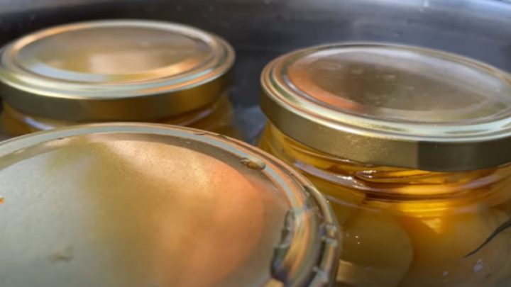 Zavařené meruňky ve sladkokyselém nálevu