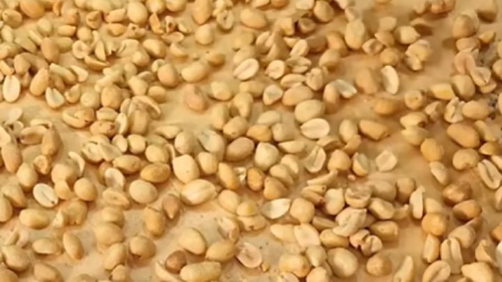 Snickers řezy s kondenzovaným mlékem