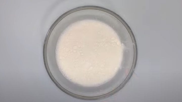 Koláče s borůvkami z kynutého těsta