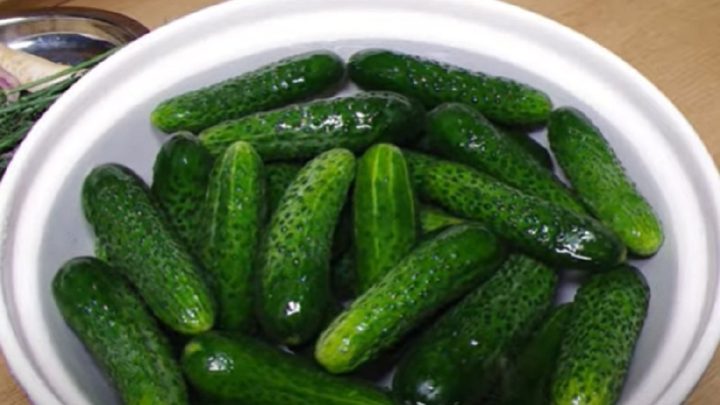 Nakládané okurky s česnekem a koprem