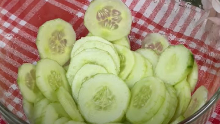 Okurková pomazánka s jarní cibulkou