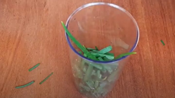 Olej z jarní cibulky jen ze 3 surovin