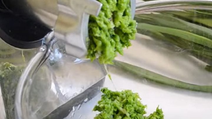 Česneková pasta ze zelených výhonků