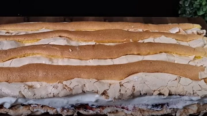 Kardinálův řez s borůvkovým džemem