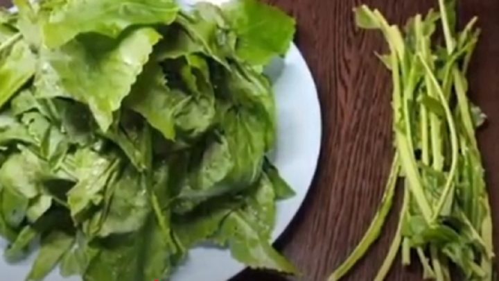 Domácí pesto z křenových listů