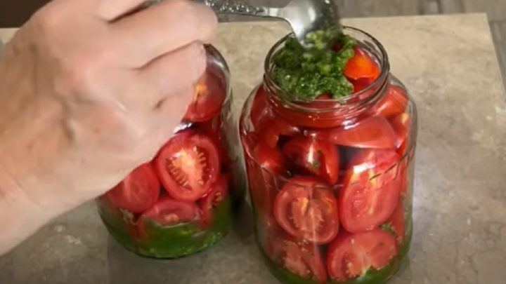 Rychlá nakládaná rajčata s bylinkami