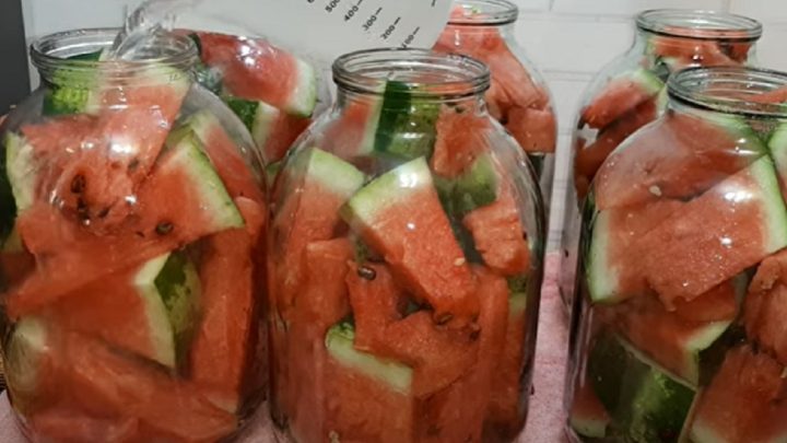 Nakládaný meloun na zimu jen z 5 ingrediencí