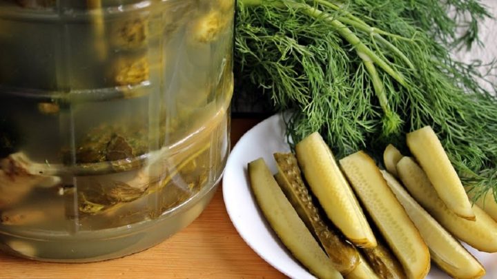 Domácí kvašáky bez zavařování