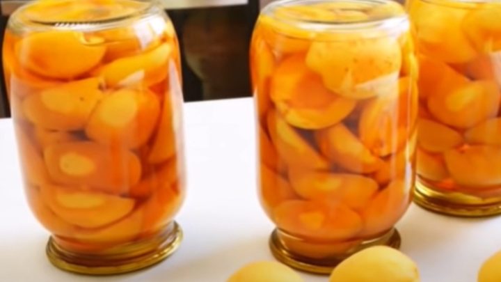 Meruňky ve sladkém sirupu ze 4 surovin