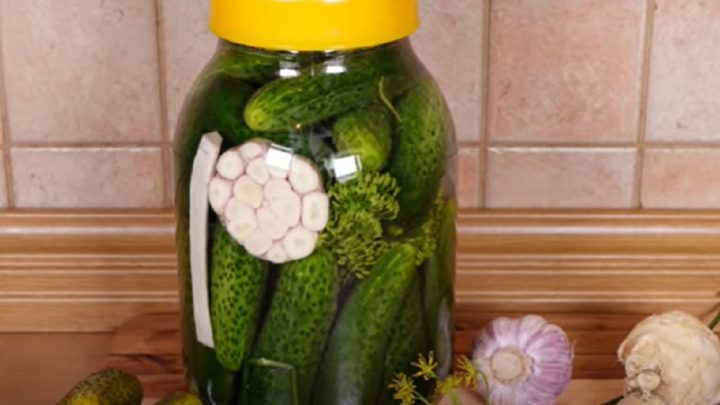 Nakládané okurky s česnekem a koprem