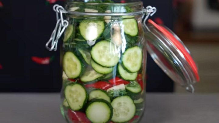 Nakládané okurky s chilli a koprem