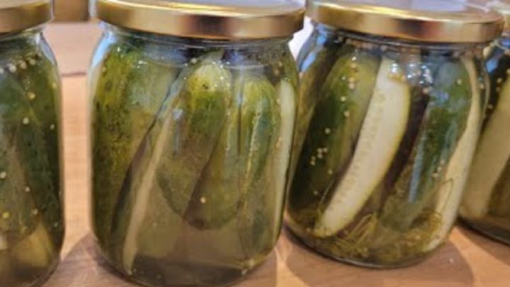 Okurky v medovém nálevu s koprem