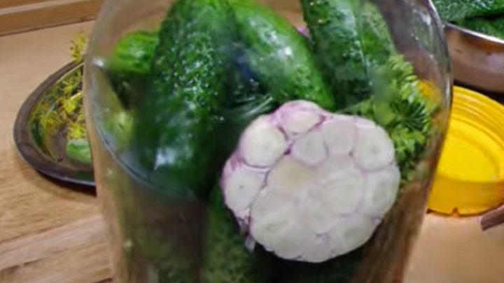 Nakládané okurky s česnekem a koprem