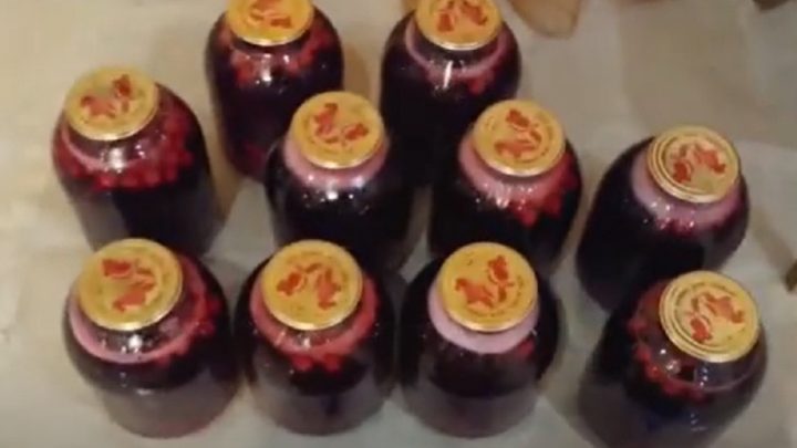 Domácí třešňový sirup bez vypeckování