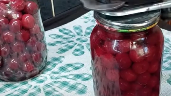 Třešňový kompot bez zavařování