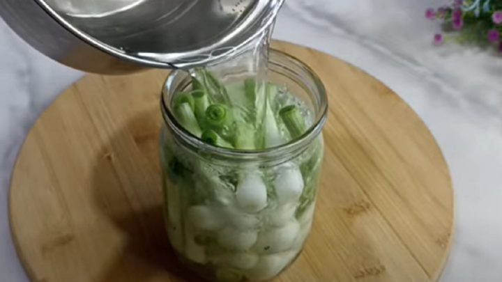 Nakládaná jarní cibulka v octovém nálevu