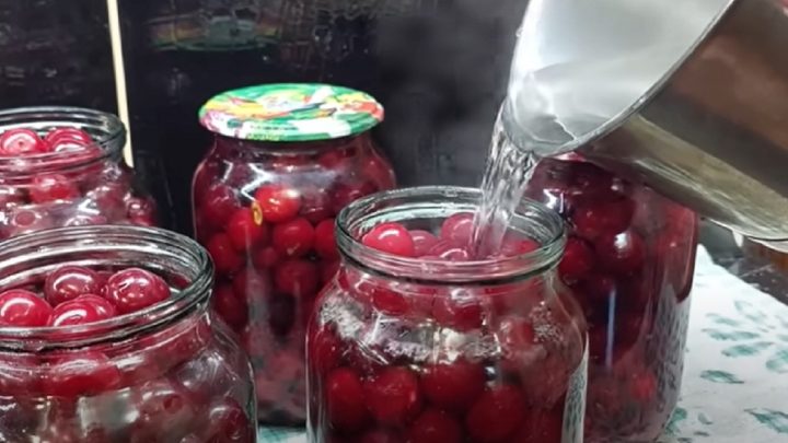 Třešňový kompot bez zavařování