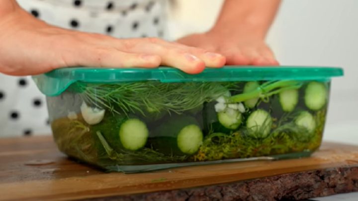 Rychlé nakládané okurky s koprem