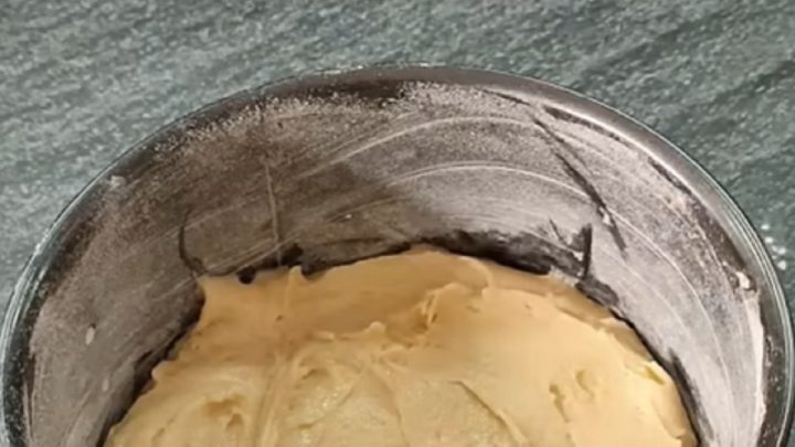 Koláč s borůvkovou náplní a vanilkou