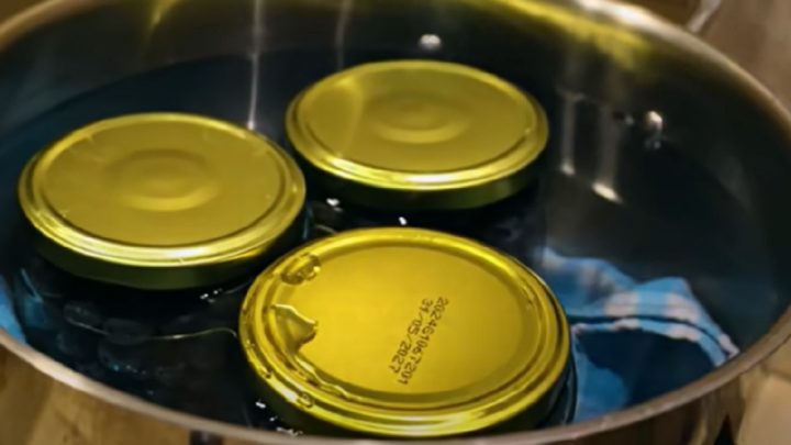 Zavařené borůvky jen ze 3 ingrediencí