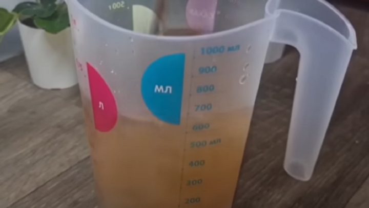 Nakládané papriky na zimu s česnekem