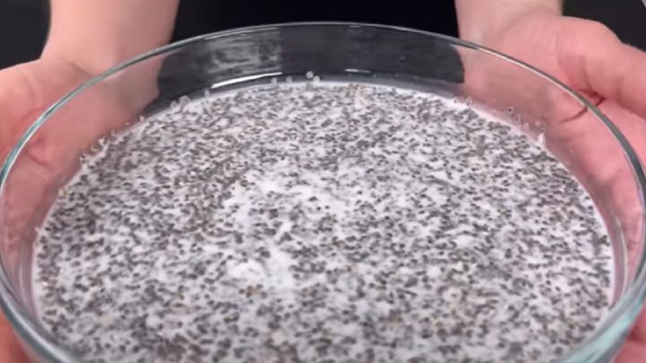 Chia dort s ovocem a kokosovým mlékem