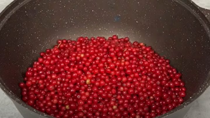 Želé z červeného rybízu jen ze 2 surovin