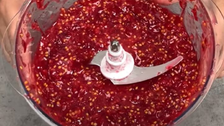 Mražený rybíz jen ze 2 ingrediencí