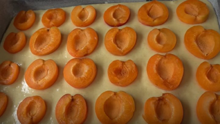 Meruňková buchta na plech s vanilkou