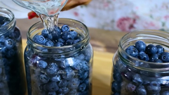 Zavařené borůvky jen ze 3 ingrediencí