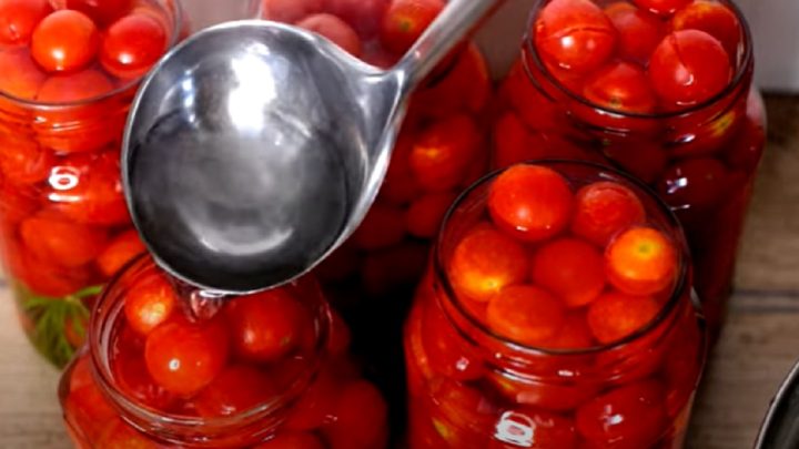 Cherry rajčata na zimu s koprem
