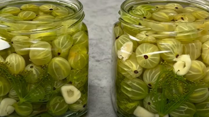 Nakládaný angrešt ve sladko-slaném nálevu