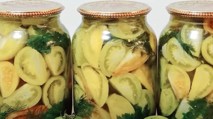 Nakládaná zelená rajčata s bylinkami