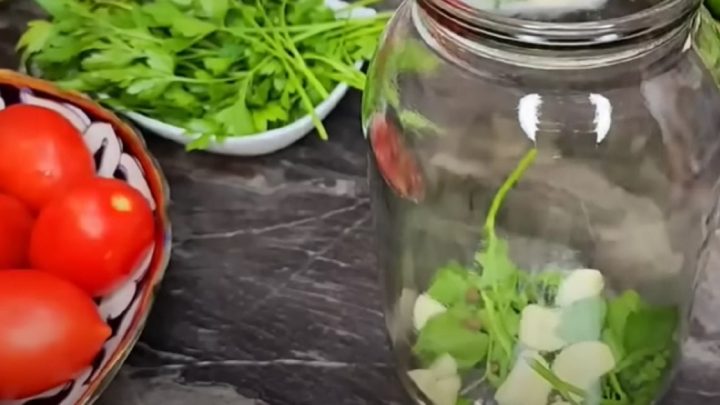 Nakládaná rajčata s okurkami a česnekem