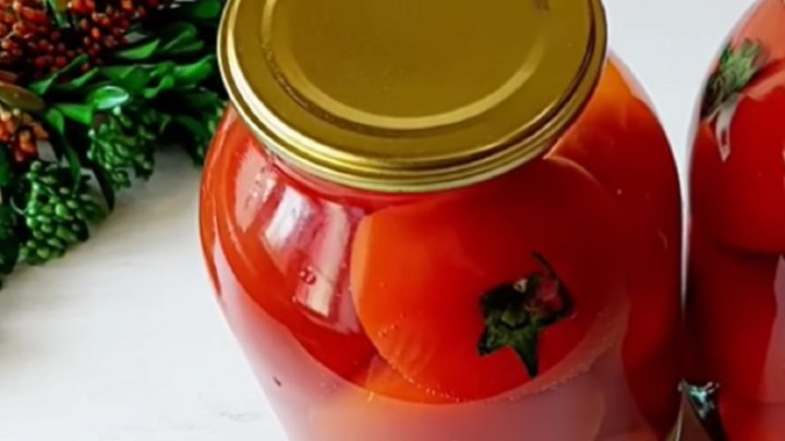 Rajčata na zimu bez soli a octa